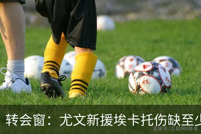 转会窗：尤文新援埃卡托伤缺至少15天，二队小将租借加盟阿贾克斯